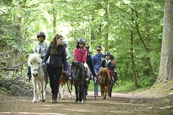 Les Poneys du Royal Etrier